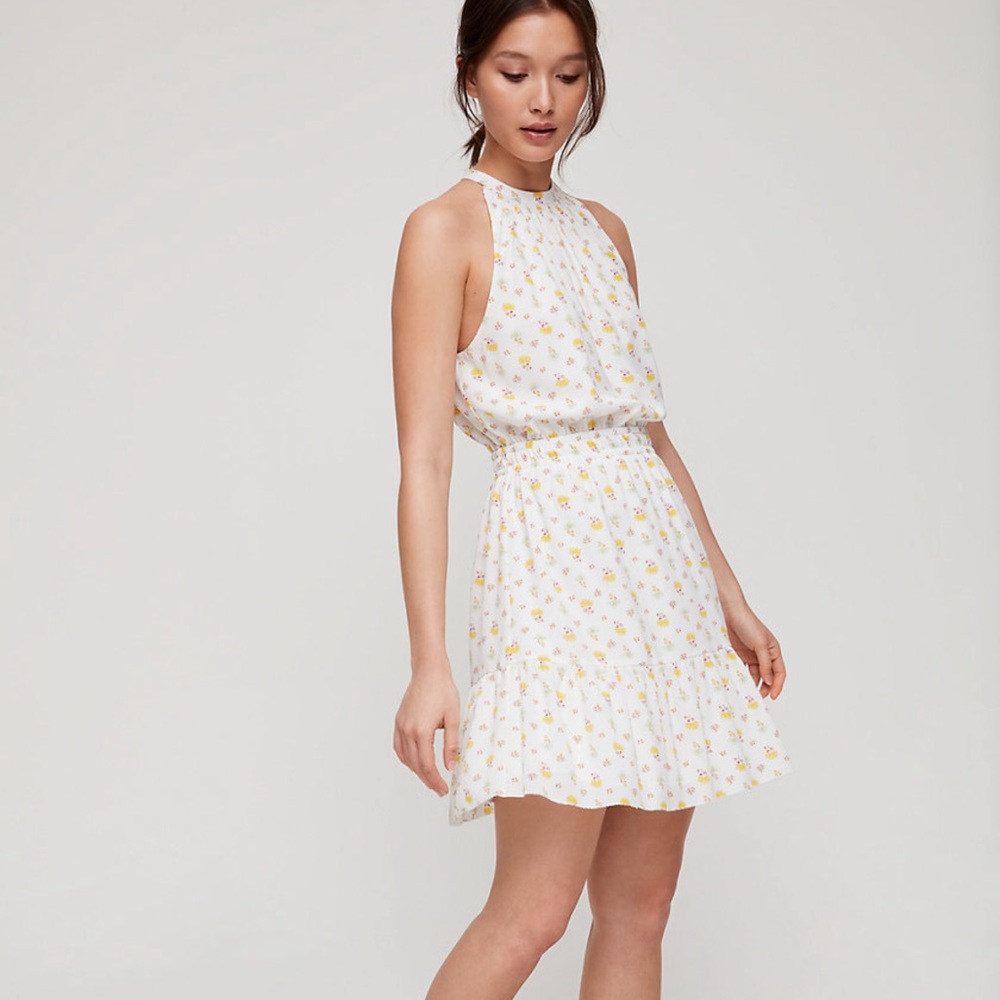 Aritzia Effet Mini Dress